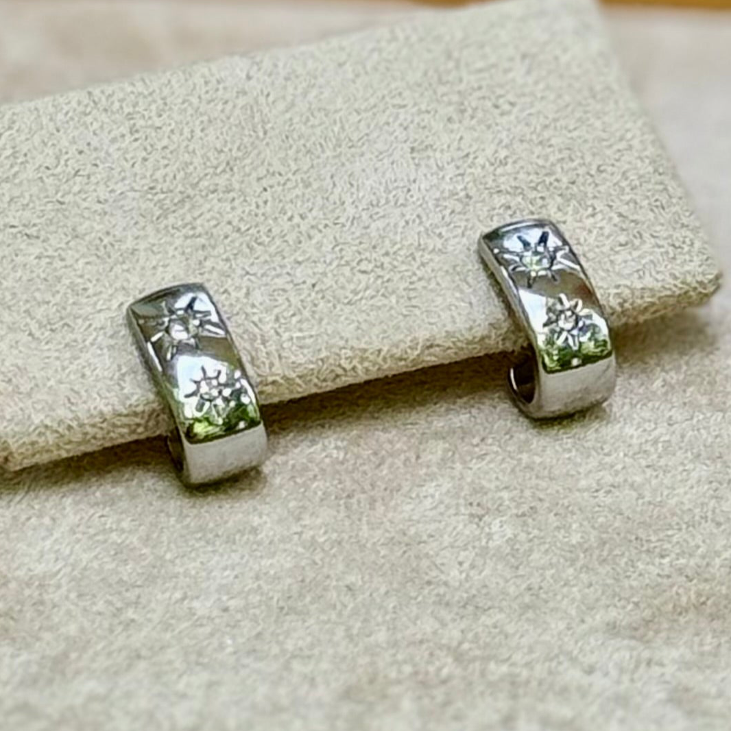 Fearless Shine Sparkles Earrings - MEGAN
