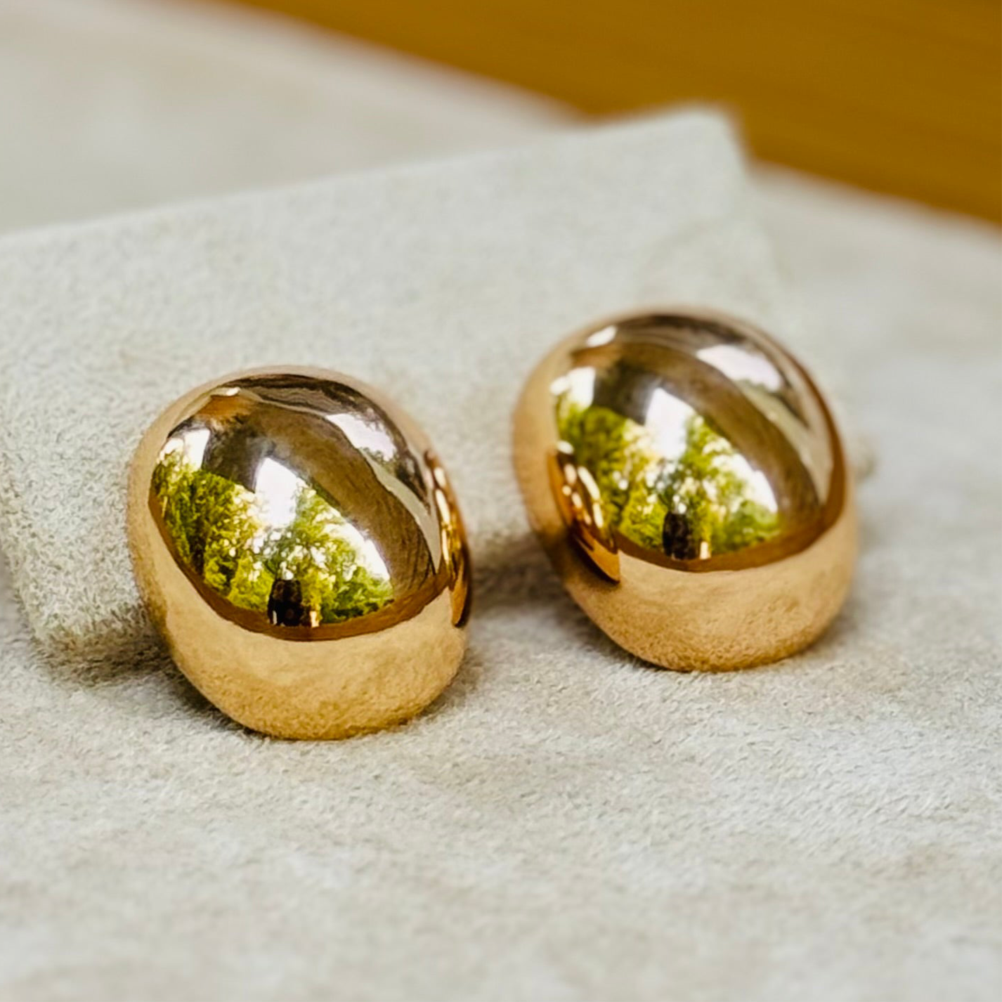 Fearless Shine Oval Earrings - ANA