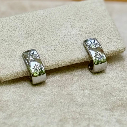 Fearless Shine Sparkles Earrings - MEGAN